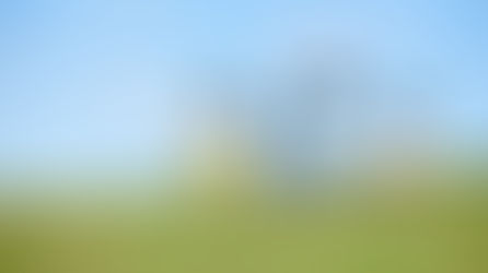 Four children run in a grassy field under a bright blue sky. They wear colourful clothes, creating a joyful and playful atmosphere.