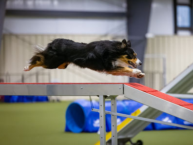 A1 International Sweepstakes Class