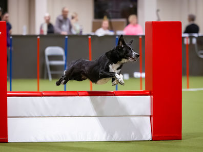 J1 International Sweepstakes Class