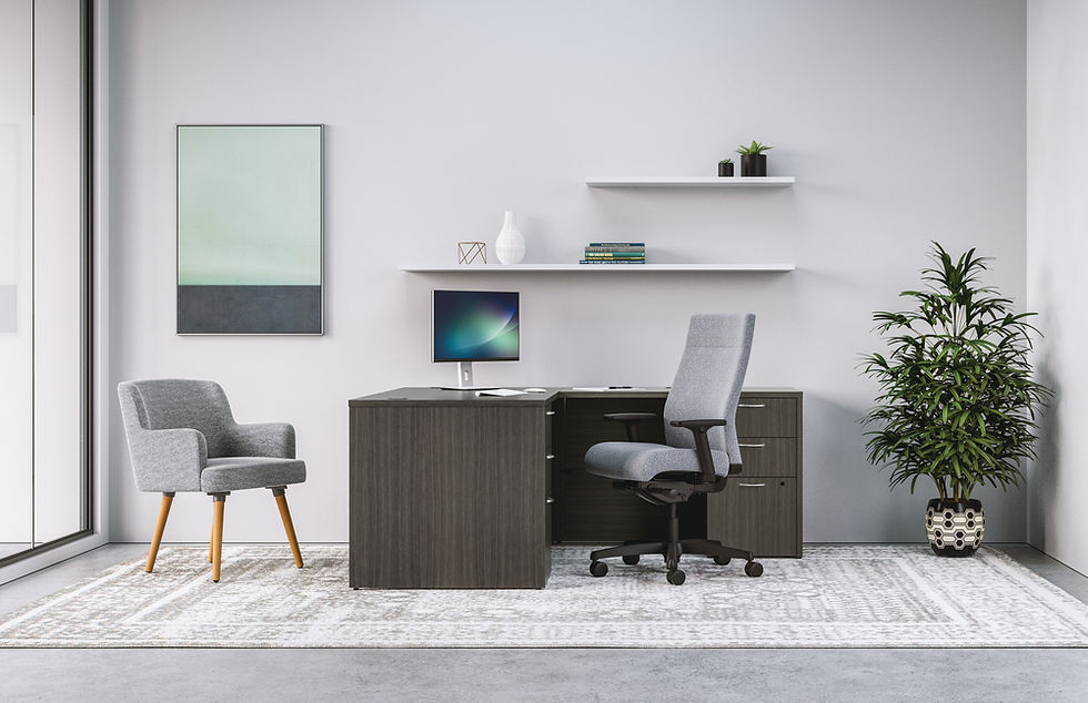 BUDGET FRIENDLY DESKS