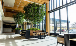 Common Area Seating and Tables