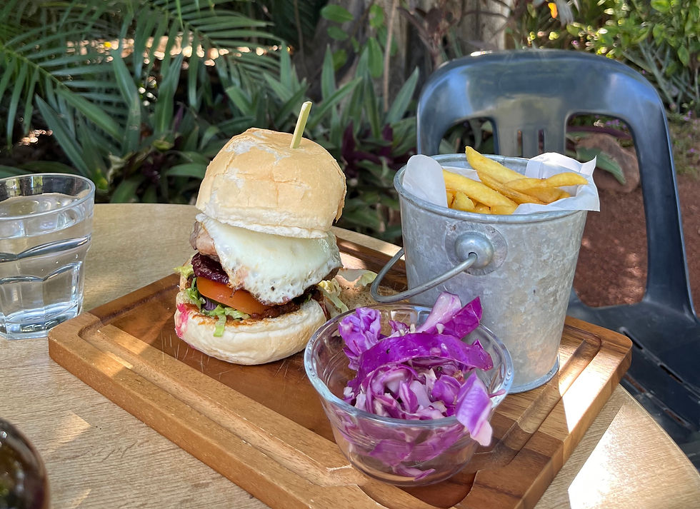 Pilot’s Guide - Two Hungry Pilots and the $100 Hamburger
