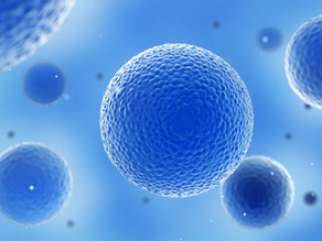 Mammalian Protein Expression: CAP-T cells