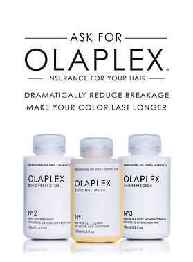 Olaplex kapper Bollenstreek
