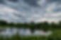 DSC_0444.jpg