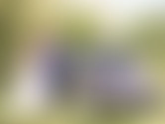 Jeunes mariés avançant ensemble à côté de leur voiture décoré de voilages blancs