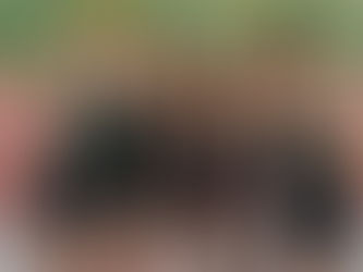 Inside the Lives of Student Athletes: Balance, Discipline, and Spirit