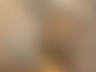 L’achèvement du grand gibier : par quels moyens et par qui ?