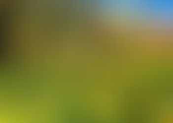 Spring Forecast 2026 – a challenging context