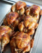 Chicken and Chicken Packs