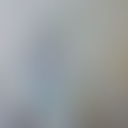 Girl and two doggys, cani di famiglia o trovatelli?