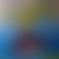 Chicken on the table, le preoccupazioni di un pollo