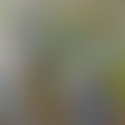 Brushes and floats, le passioni arricchiscono la vita