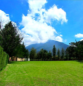 Rancho Los Leones_edited.jpg