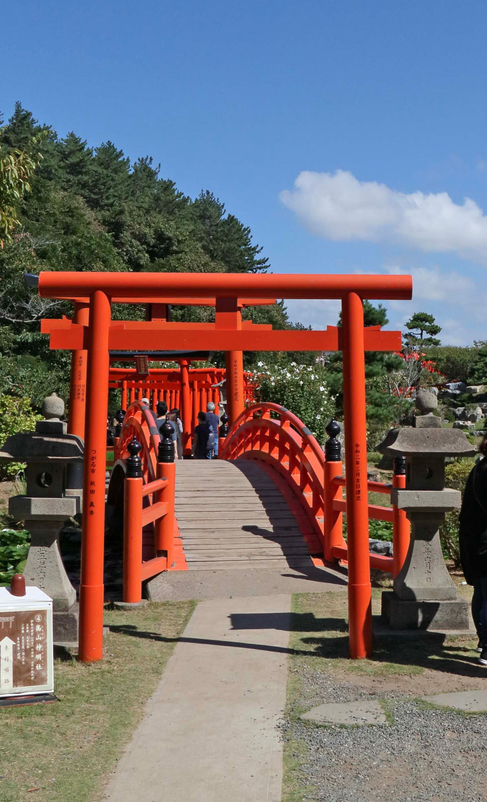 IMG_5314