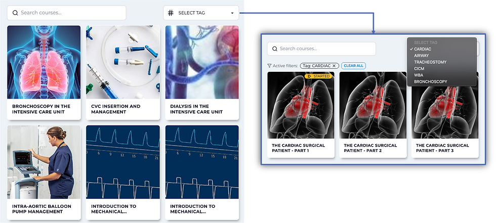 course catelogue.png