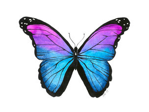 From the Inside Out - Butterfly Moments by Angie
