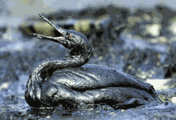 derrame de petroleo
