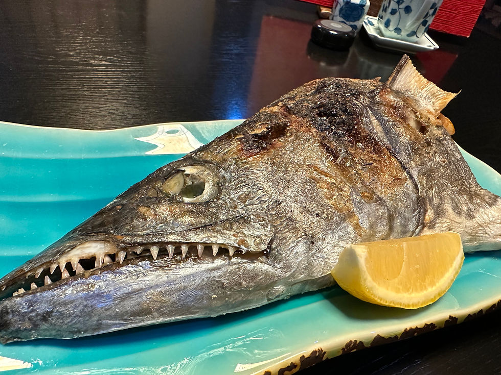 鰆のお頭
