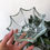 Thumbnail: clear glass, umbrella shaped bowl
