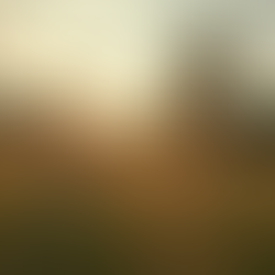 Apoio Psicológico Online para Mulheres Cristãs