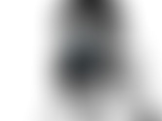 שימוש מסחרי בתמונות