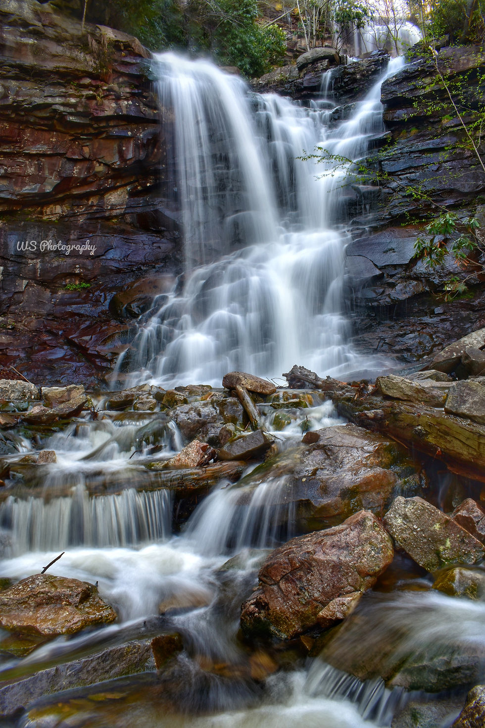 DSC_0355-01-01[1]