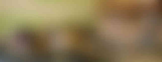 Kidzz Helping Kidzz toy sorting party 2023 utilizing warehouse space.