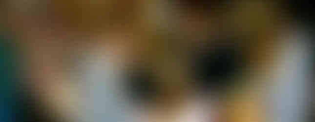 Volunteers for Kidzz Helping Kidzz communicating in an assembly line structure while making work fun.