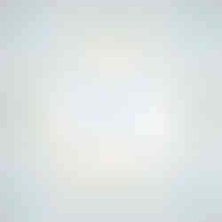 枠にハマる、ハマらない