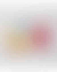 ハシゴーアウト