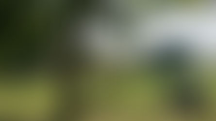 Canadian Metal Buildings Charity Golf Tournament Recap: Golfing for CityKidz