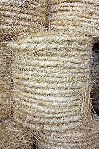 Forest Wool Ropes 2