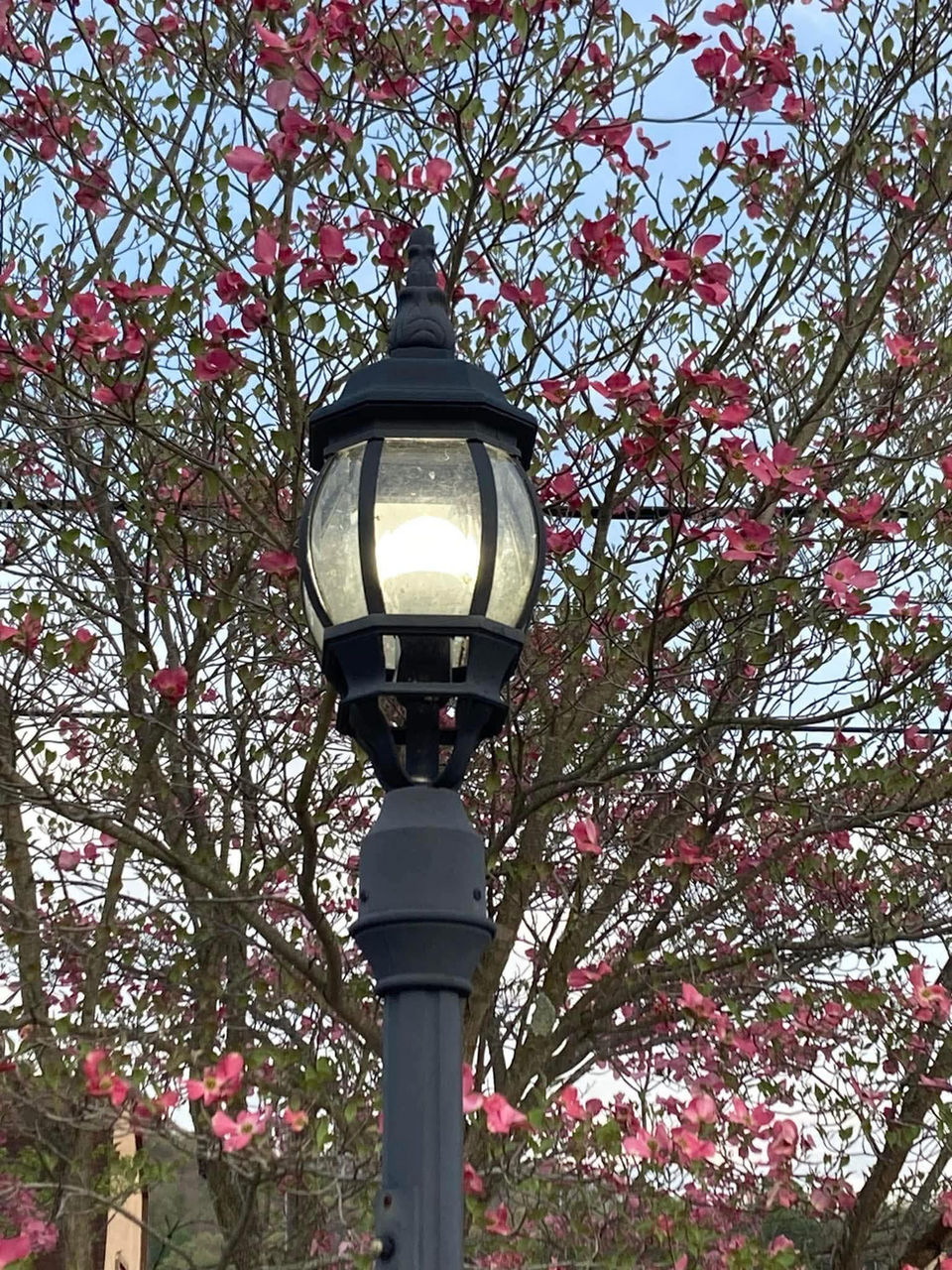 Light post in Pleasants County, WV
