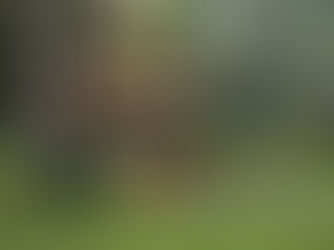 Planning to Build a Shed? Know the Rules First