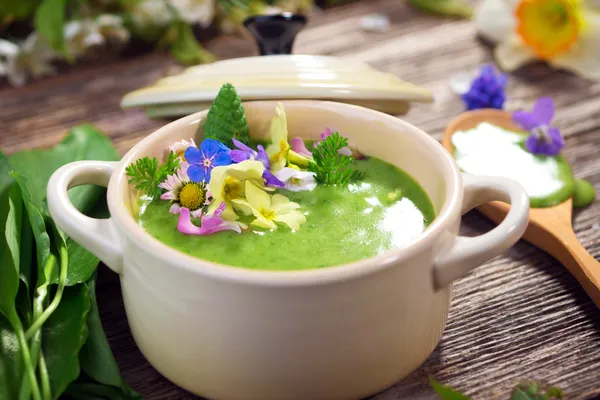 depositphotos_44534809-stock-photo-spring-soup.webp
