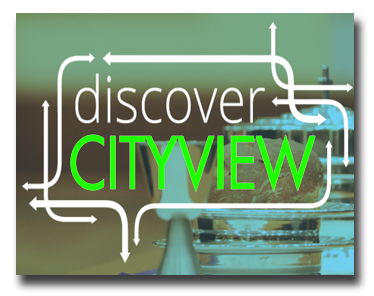 Design 5