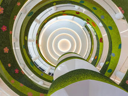 Beyond Net Zero: Why Adaptation is the New Alpha in Real Estate