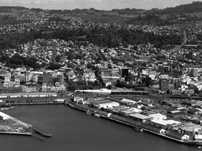Dunedin's property market remains buoyant