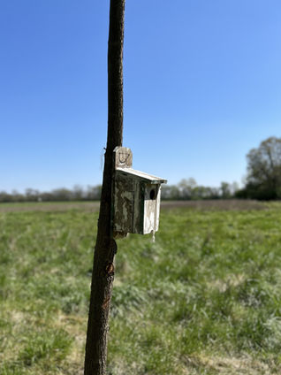 Beyond farming: earth day reflections