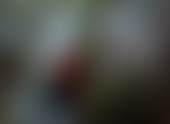 As You Like It! Northern Broadsides