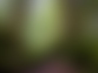 The View VTF 2026 February Newsletter