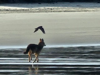 View the Future April 2026 Newsletter