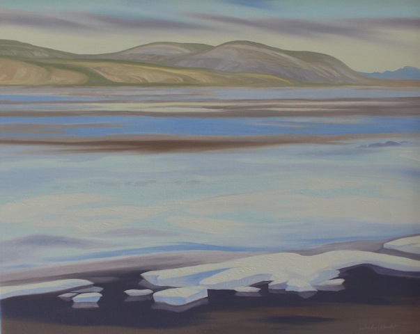 Ice Patches Acrodd the Flats
