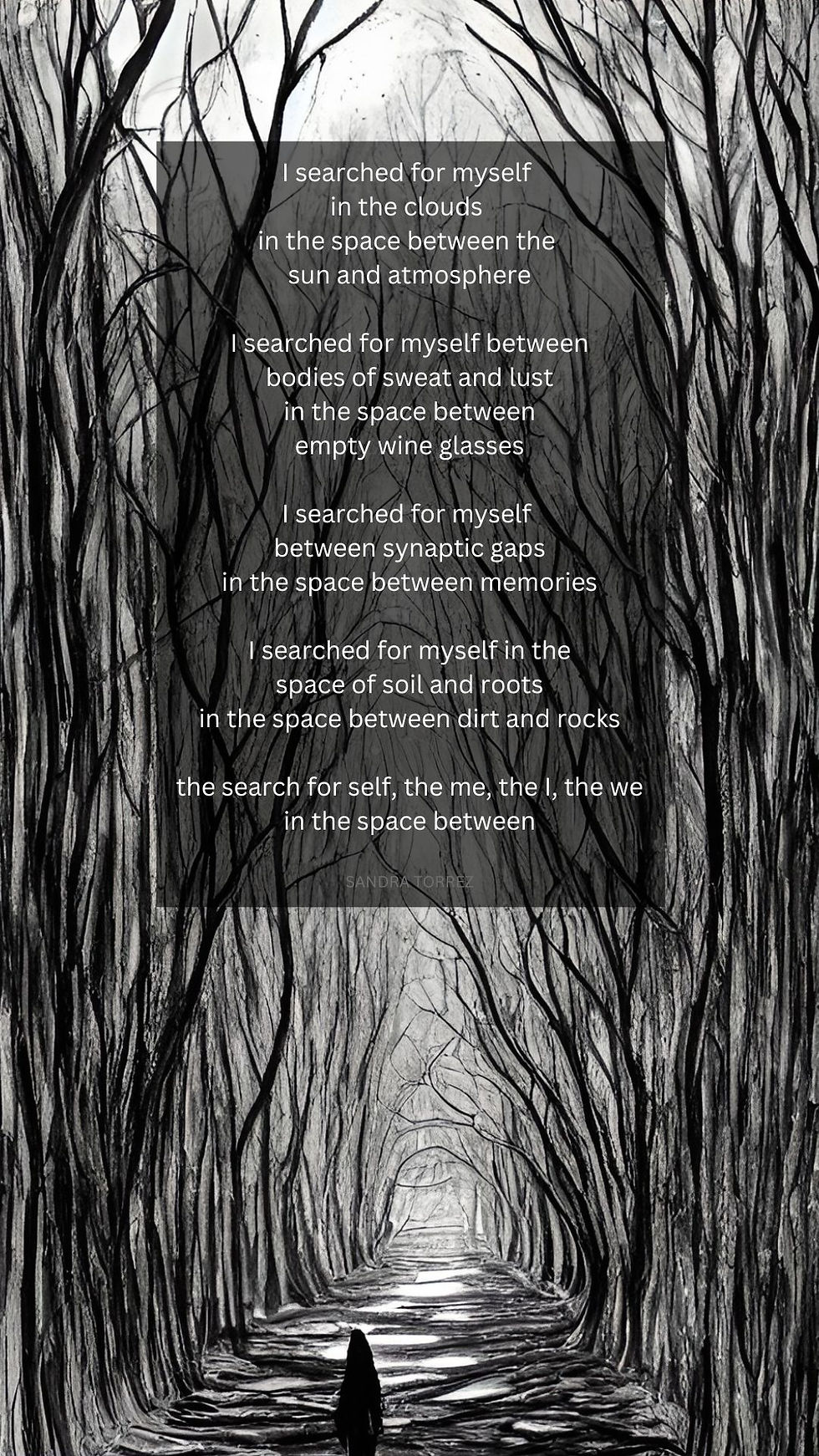 Poem: In the Space Between by Sandra Torrez