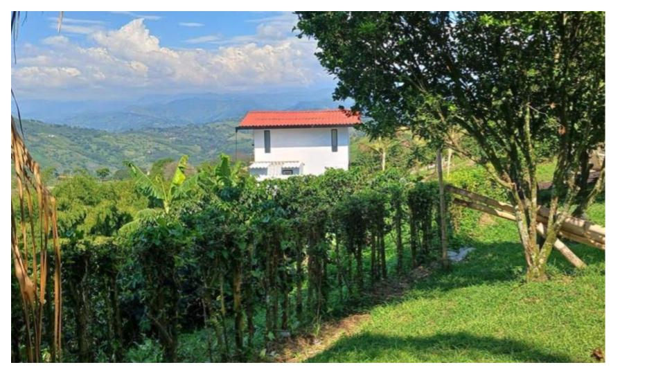 Content and images - Finca el Balcón - Website.jpg