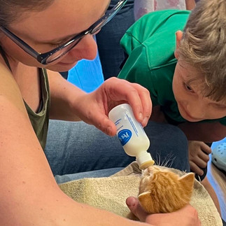 Woman bottle-feeding a kitten, with a child. Bottle Feeding Kittens Class.