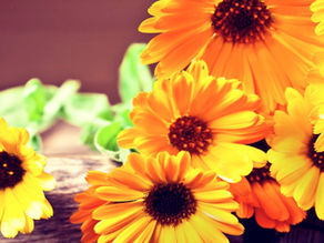 Une journée bien-être à Frossay!