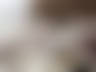 Livro: Dias Perfeitos