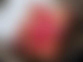 livro a mulher do meu marido